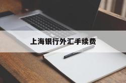 上海银行外汇手续费(上海银行外汇手续费收取标准)