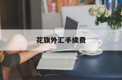 花旗外汇手续费(花旗银行外汇业务)