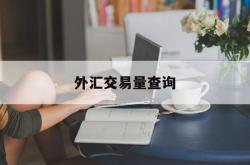 外汇交易量查询(外汇市场交易数据)