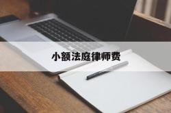 小额法庭律师费(小额法庭律师费怎么收)